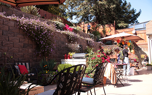 click to view larger image A garden with retaining walls on a steep hillside. Martinez, CA